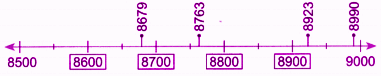 solution of d) Mark the following numbers on the number line below.