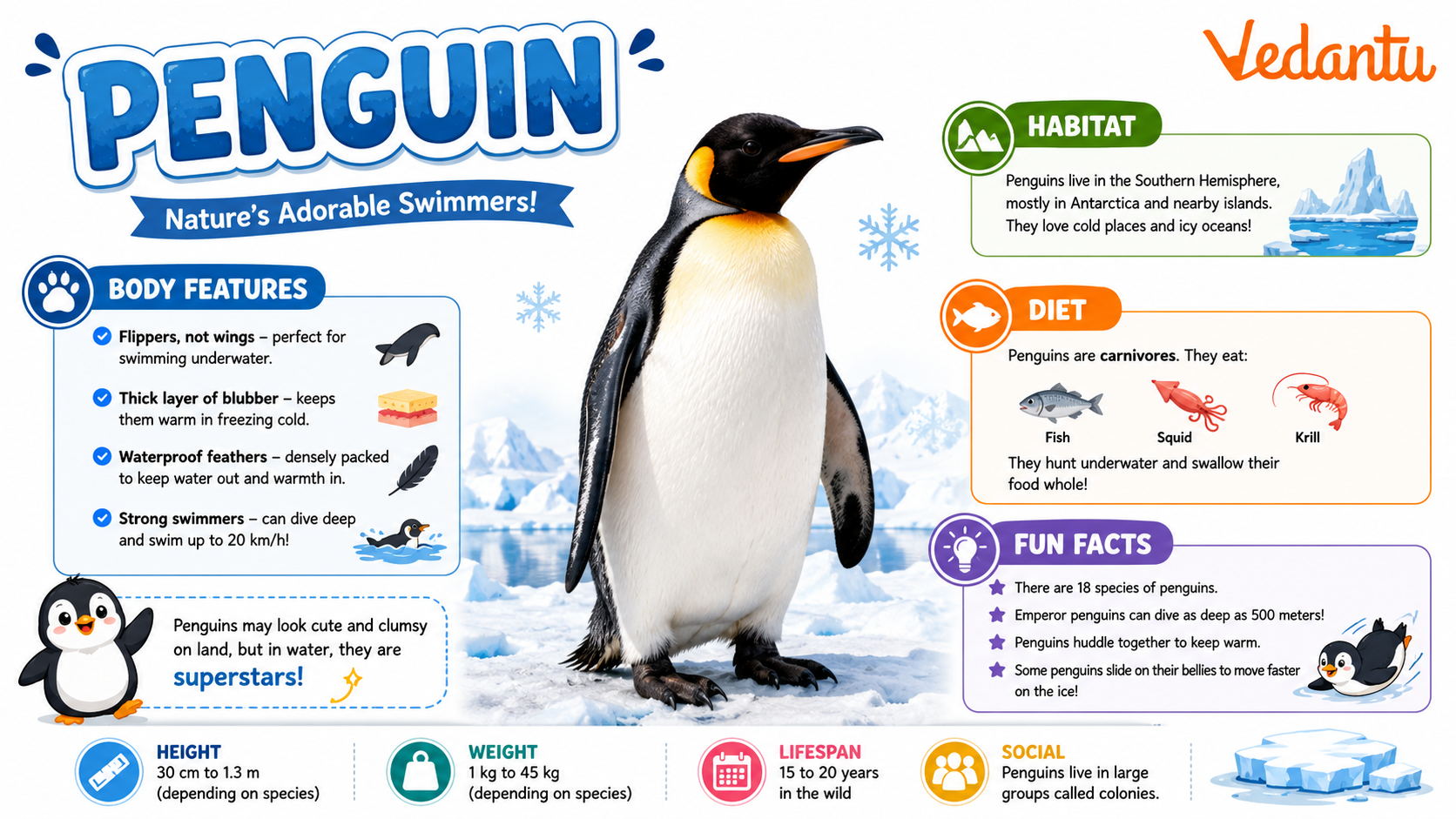 Penguin bird standing on ice in its natural habitat