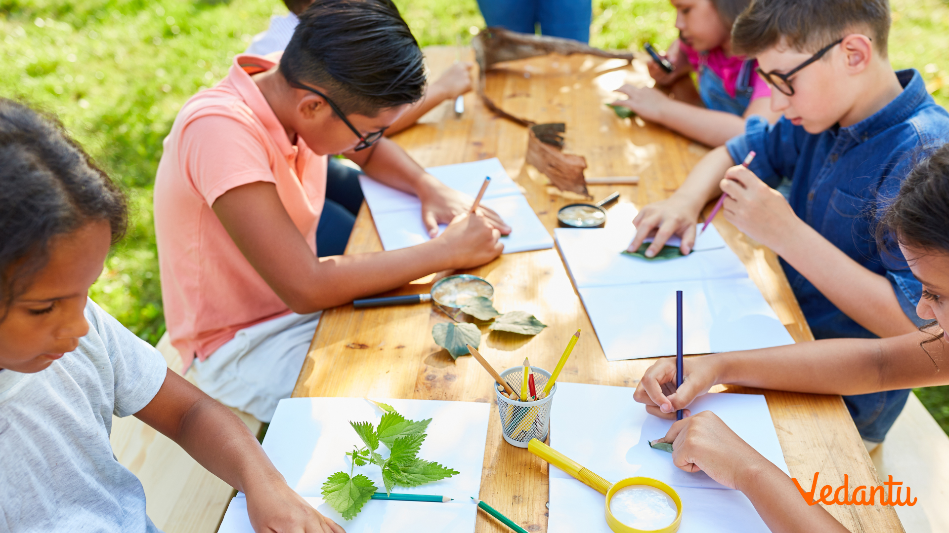 Top 9 Summer Science Camp Activities for Children