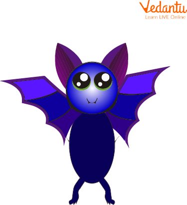 Bat