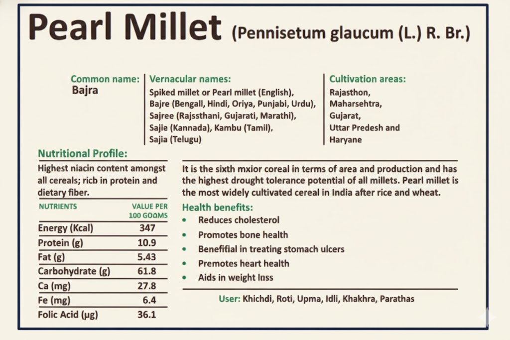 Read the information on Pearl Millet given below.