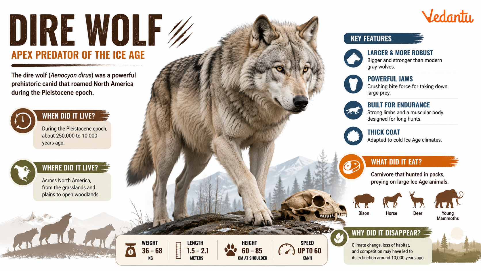 Dire Wolf