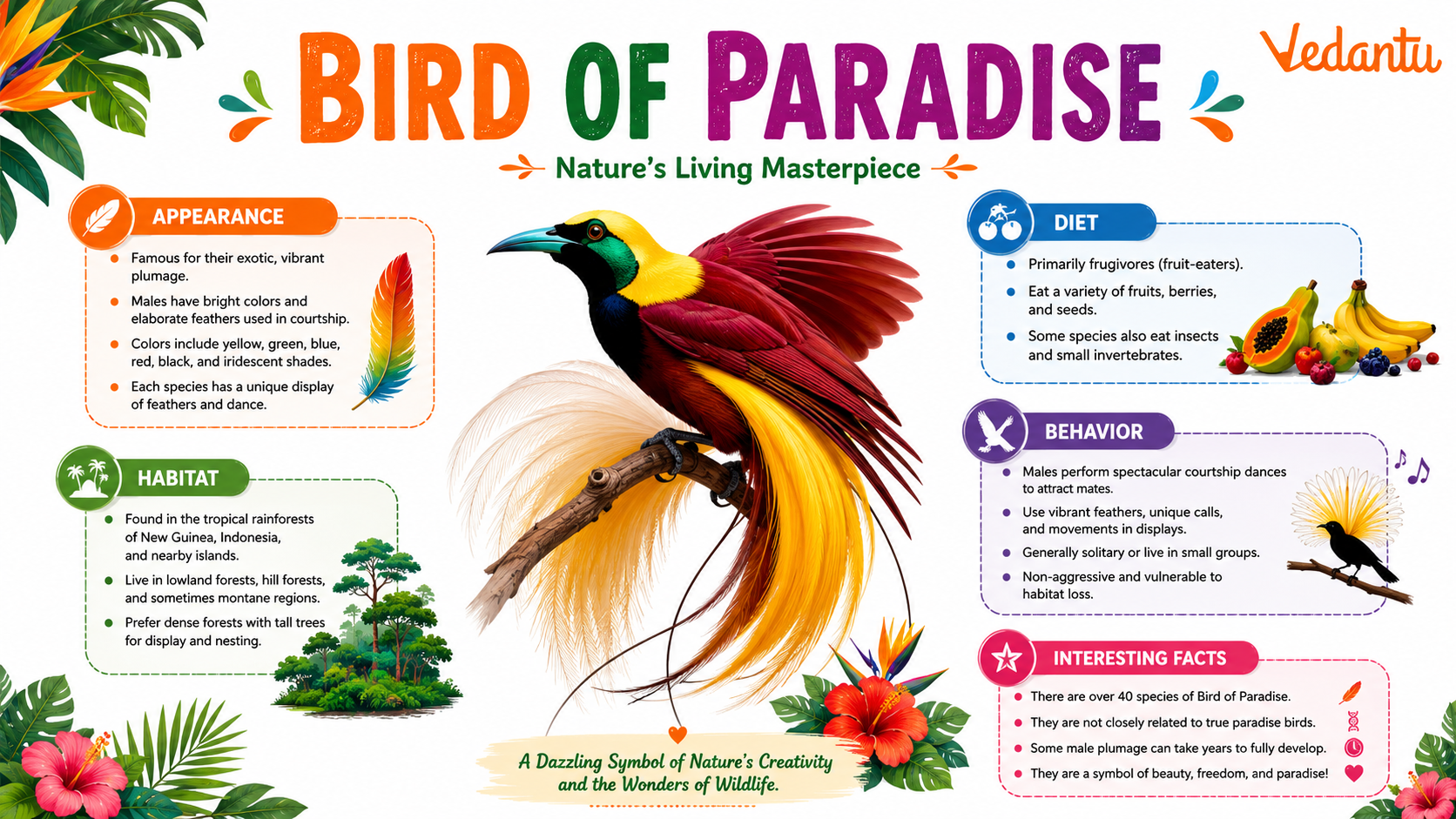 Bird Of Paradise