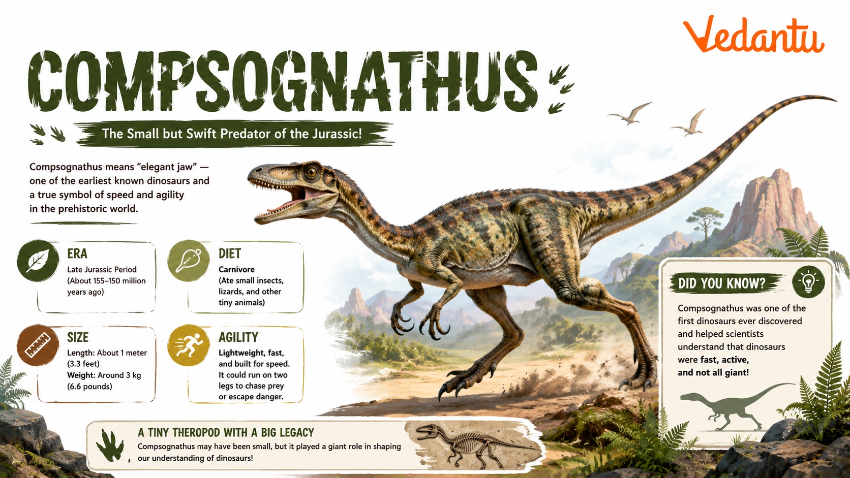 Compsognathus dinosaur illustration