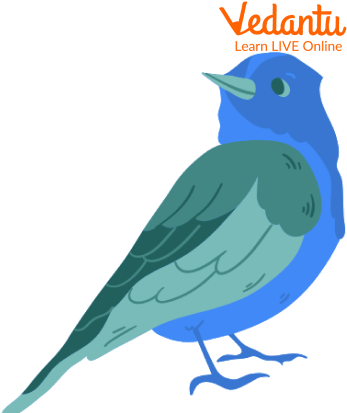 Canary Blue Bird