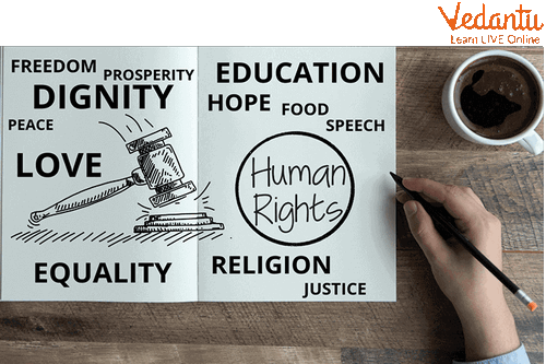 Different Basic Human Rights