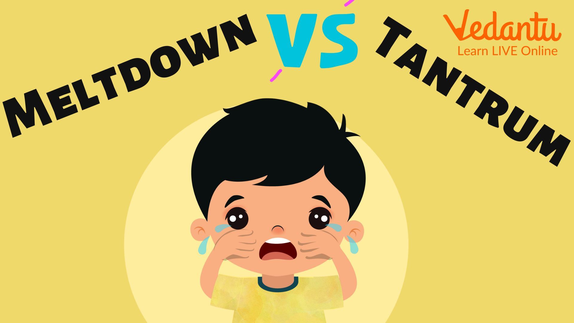 Meltdown and Tantrum differences