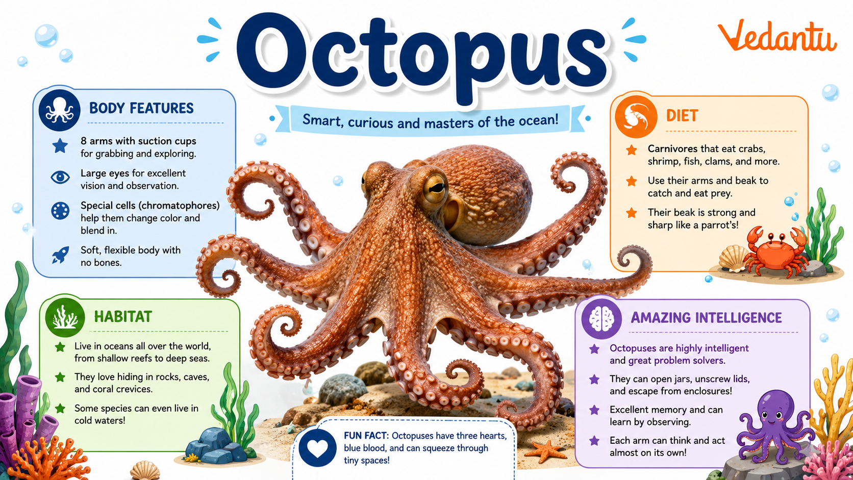 Octopus underwater with eight arms spread wide