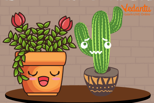 The proud rose and the ugly cactus