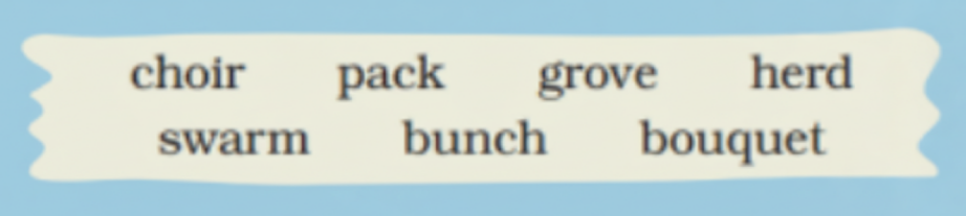 Look at the pictures and fill in the blanks, by using words from the box. One is done for you