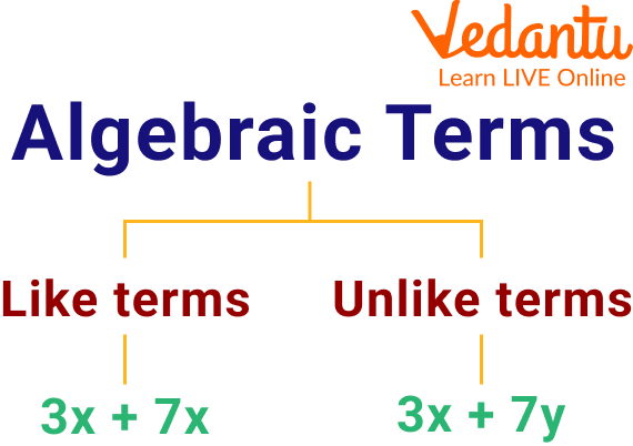 Algebraic Terms