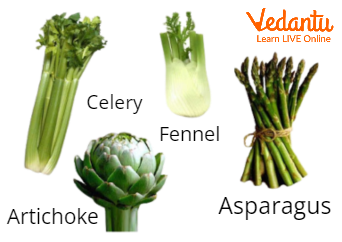 Edible Stems