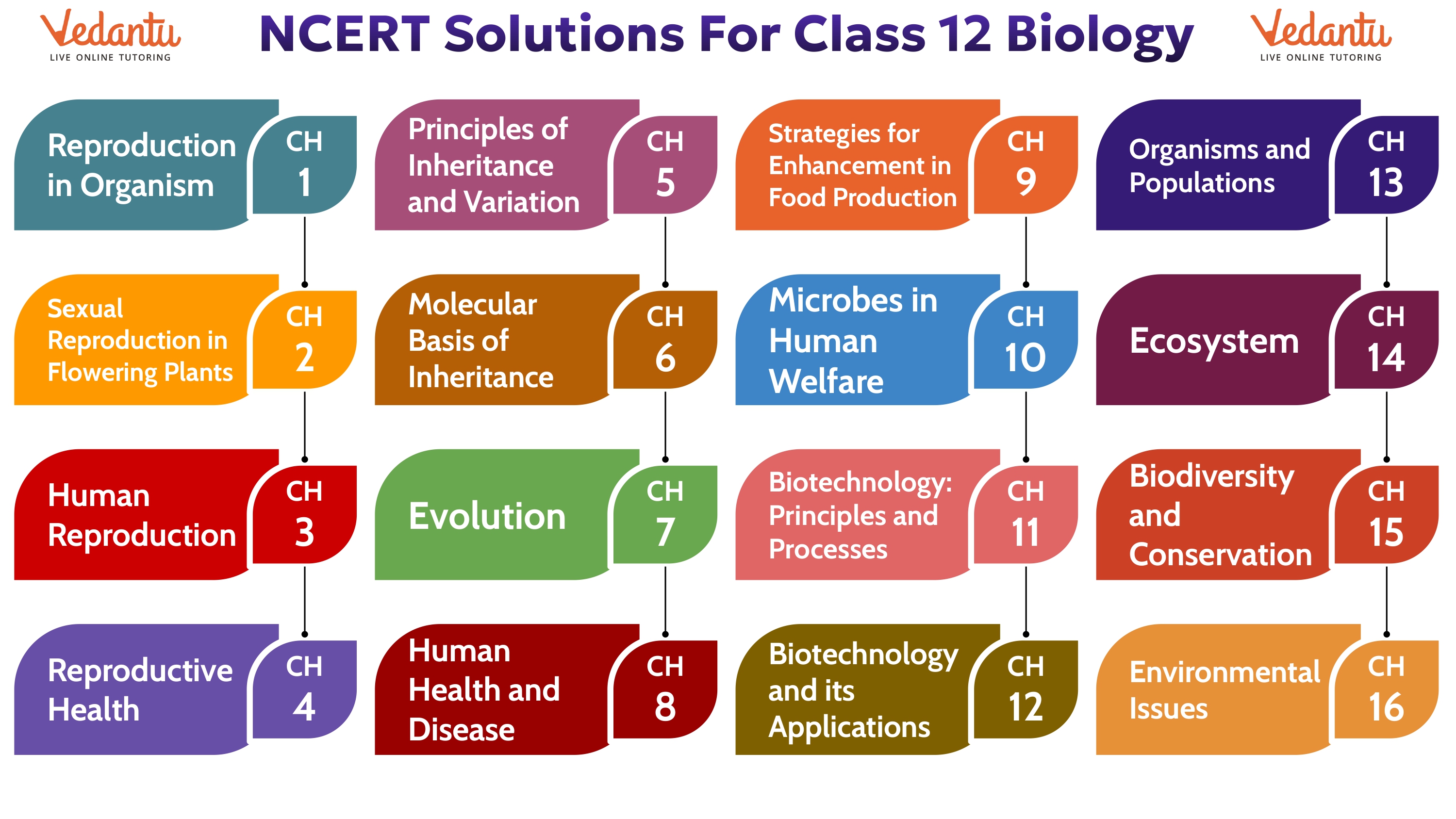 NCERT Solutions For Class 12 Biology PDF Updated For 2024 25