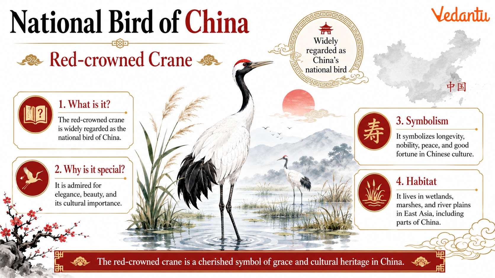 National Bird of China - Red-crowned Crane