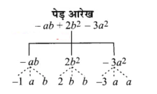 (- ab + 2b2- 3a2) के गुणनखंडों का पेड़ आरेख