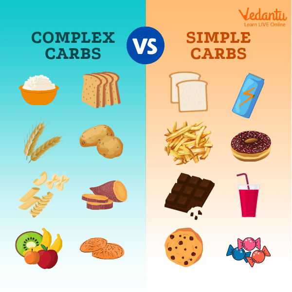 Learn About Carbohydrates and How They Help Our Body