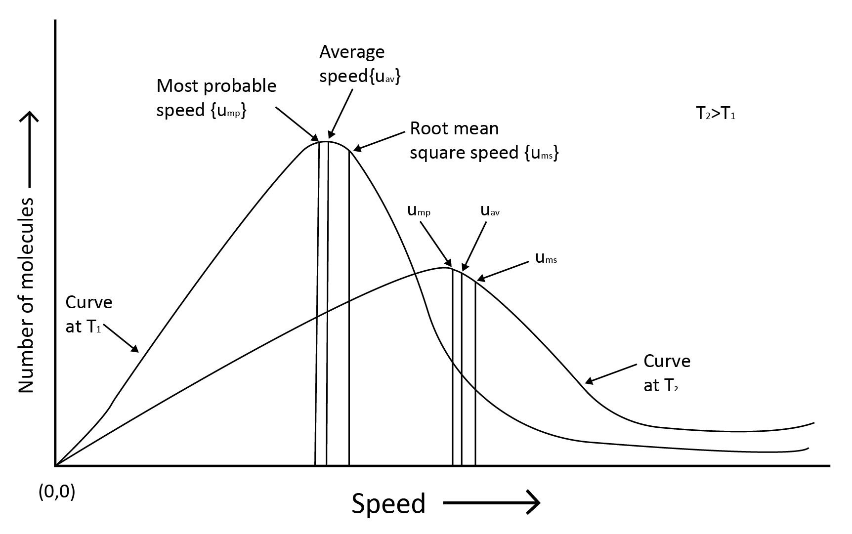 Kinetic Theory and Molecular Speeds