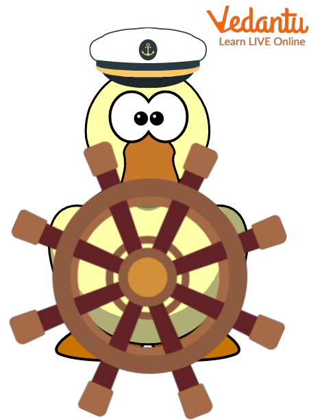 Captain Duck of the Ship