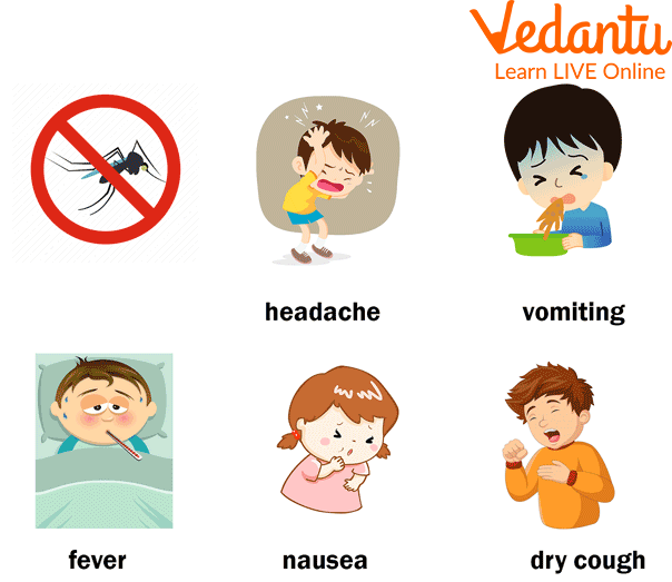 Malaria Symptoms in Kids - Learn Important Terms and Concepts