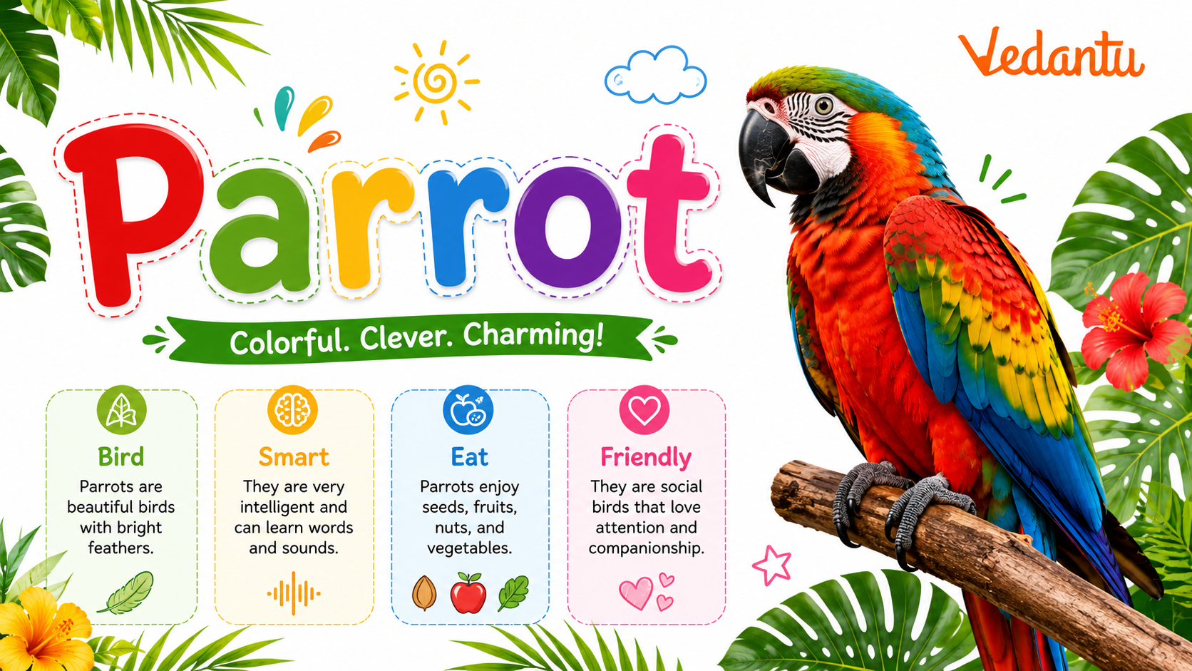 Parrot