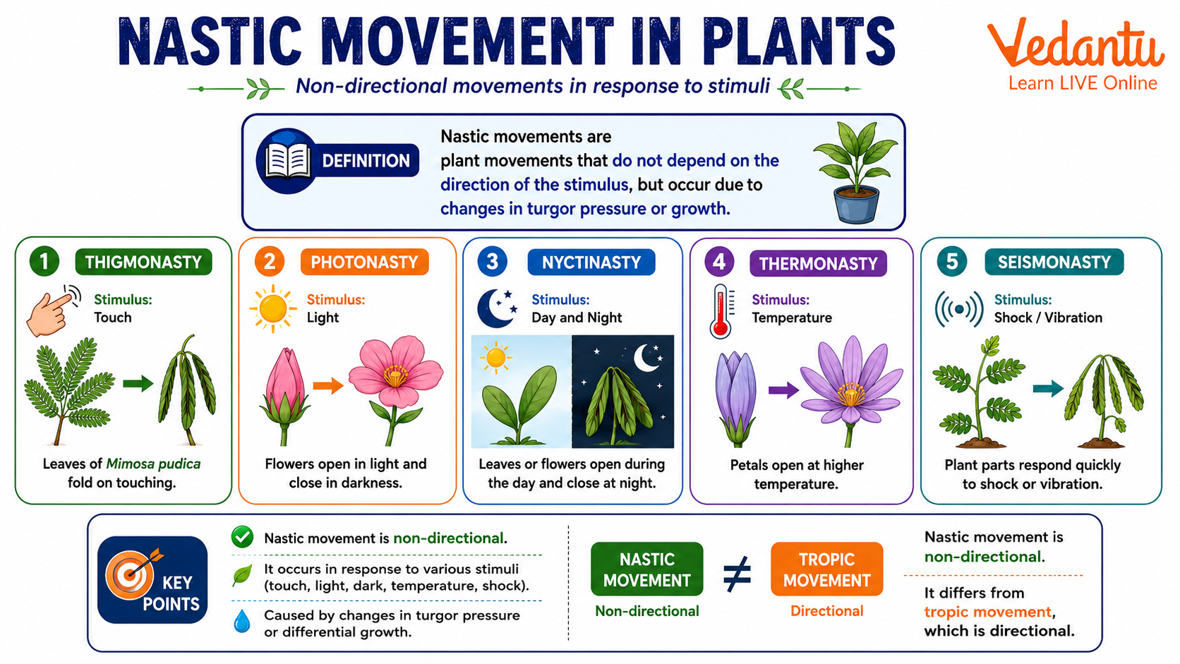 Nastic Movement in Plants