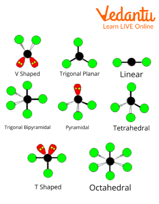 Different Shapes of Molecules