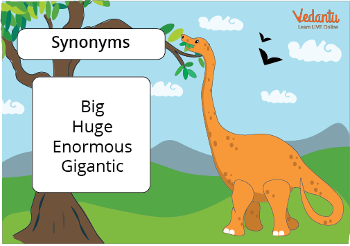 Synonyms and Antonyms - Meaning, Points to Remember, Exercise for Practice  and FAQs