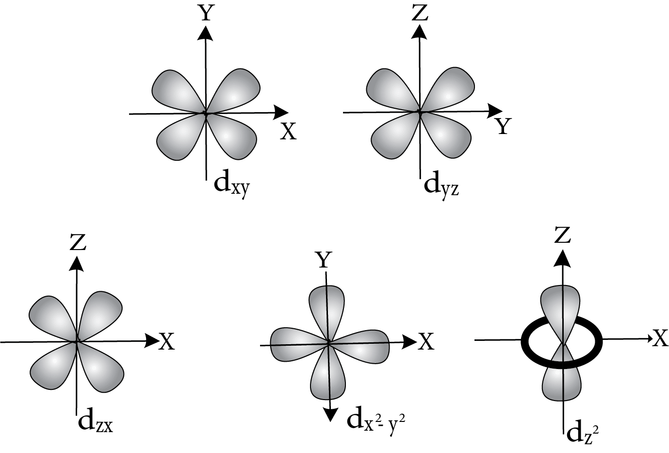 The d orbitals have a magnetic quantum