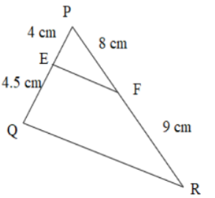 Triangle PQR having point E on PQ line