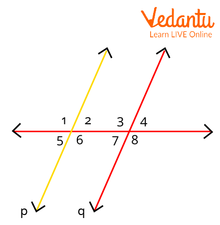 Corresponding Angle And Alternate