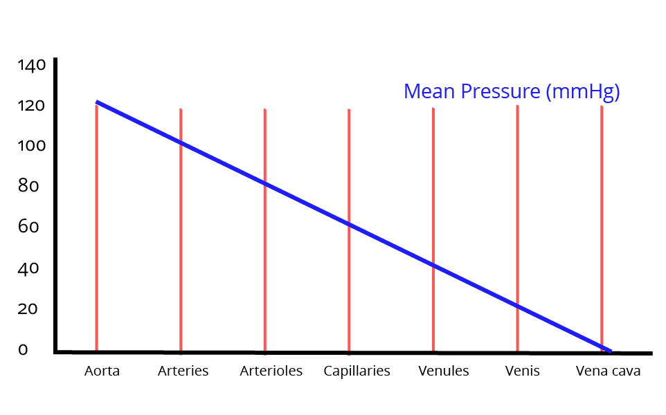 Graph of Blood Pressure
