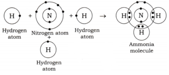 Nitrogen forms three single covalent bonds with three hydrogen atoms and has one lone pair of electrons..png