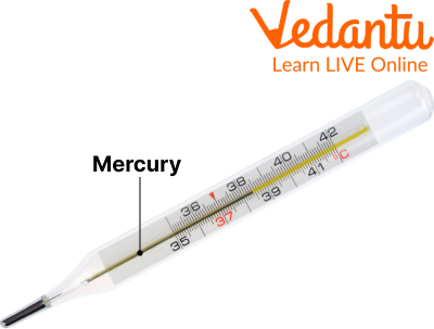 Mercury in Glass Thermometer