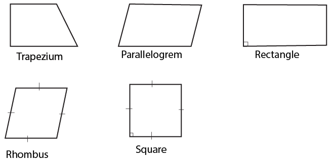 Quadrilaterals