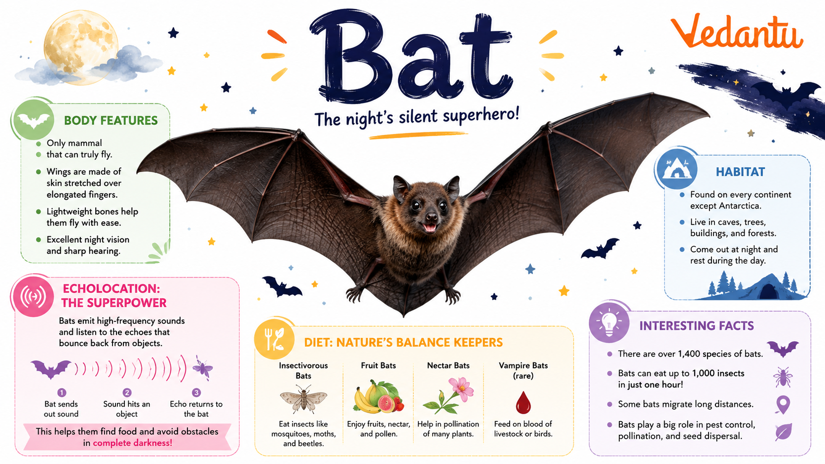 Bat Animal with wings spread flying at night