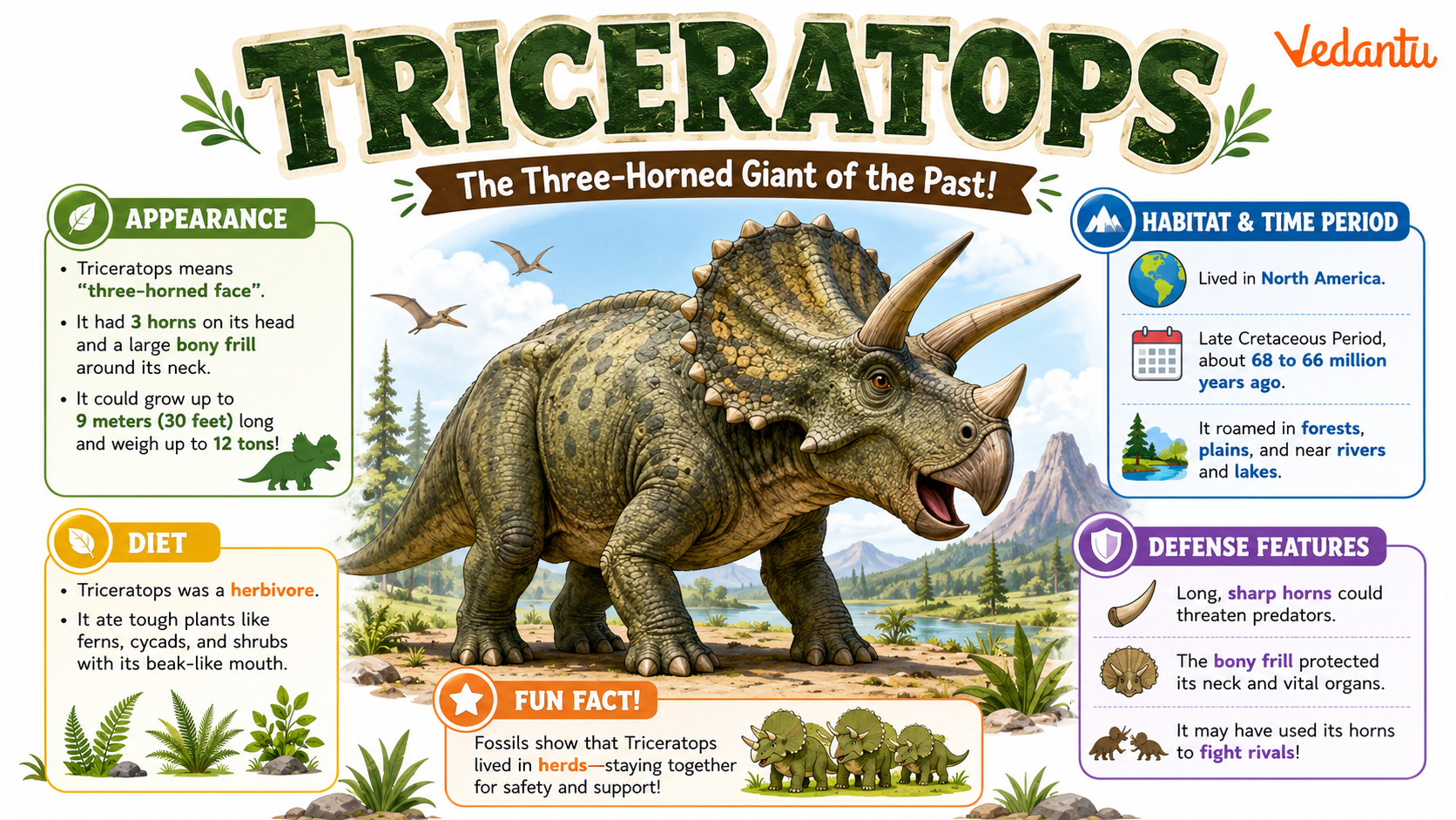 Triceratops dinosaur with three horns and large frill