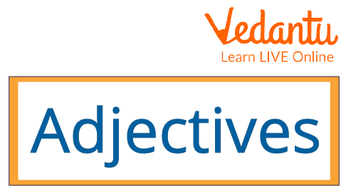 Introduction to Adjective