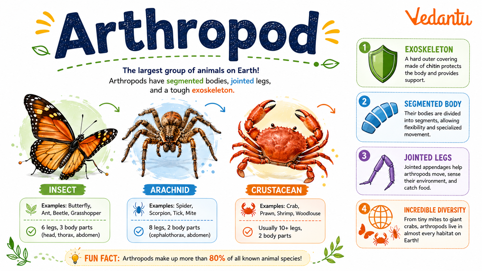 Arthropod