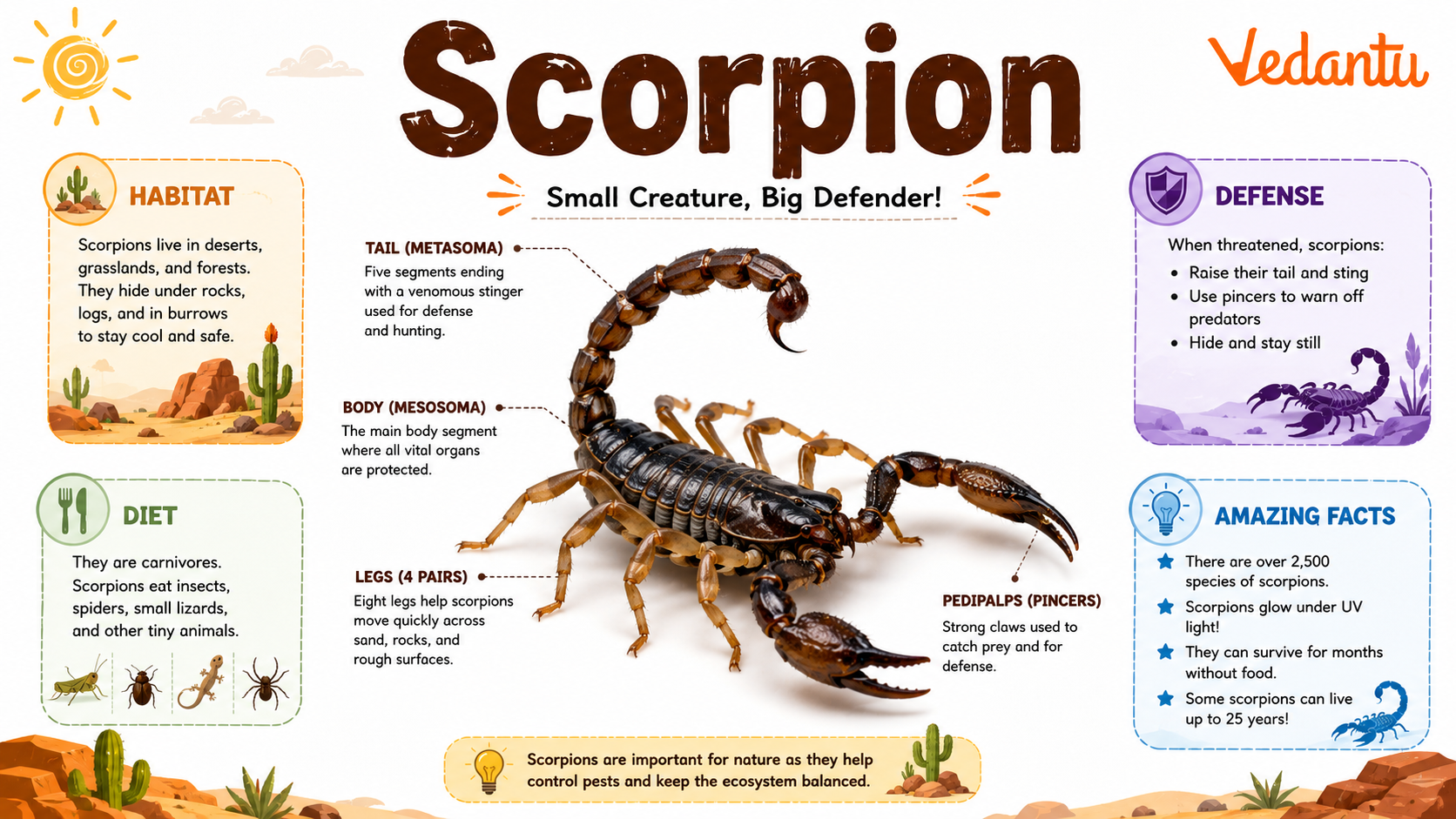 Scorpion with curved tail and stinger