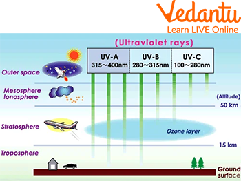 Different Types of UV Rays  About Types & Uses of UV Rays