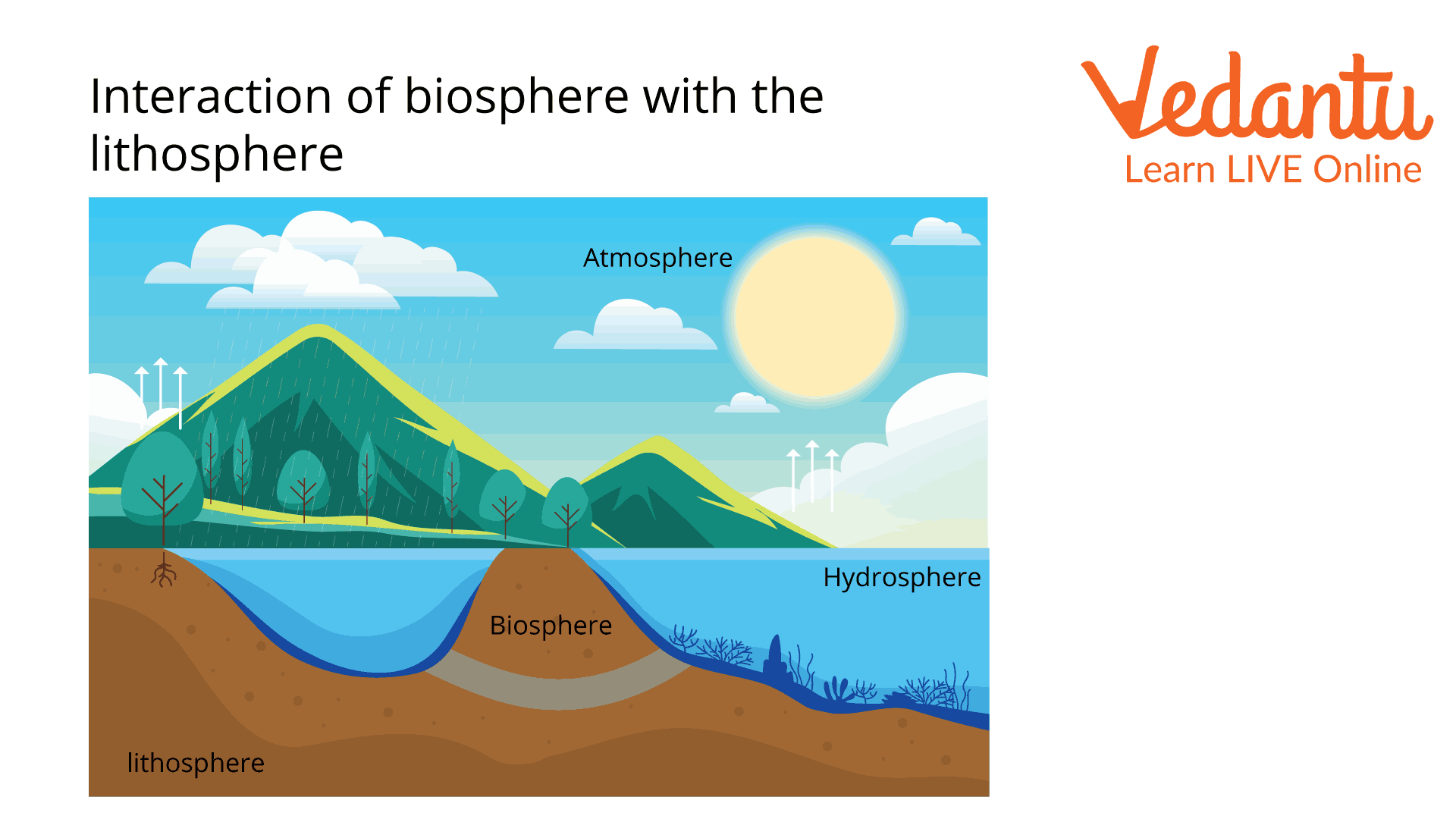 Interaction of the Biosphere with the Lithosphere