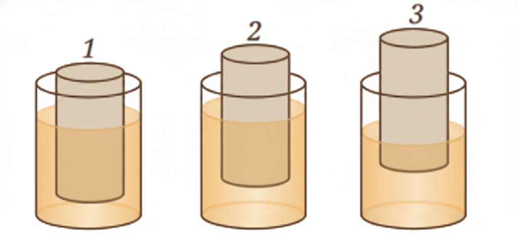 three objects, 1, 2, and 3 of the same size and shape but made of different materials, are placed in the water. They dip to different depths