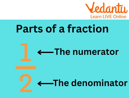 Parts of a Fraction