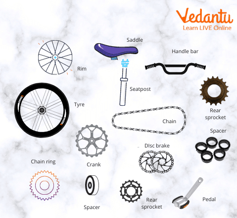 Basic Bicycle Parts