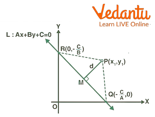 Point Coordinates