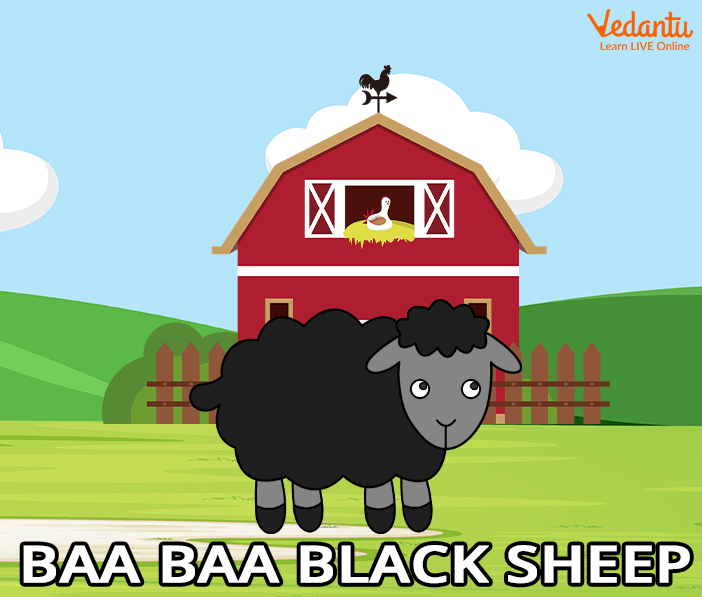 Baa Baa Black Sheep