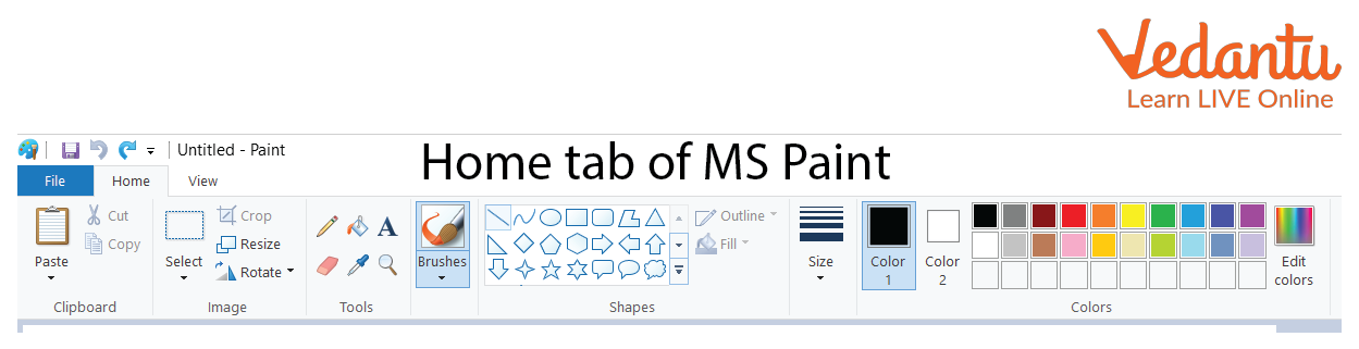 Ms Paint - Learn Definition, Examples And Uses