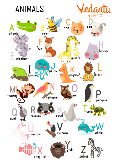 air animals with names