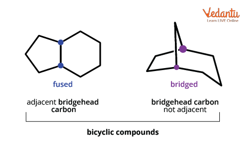 Structure of Fused and Bridged bicyclic compounds