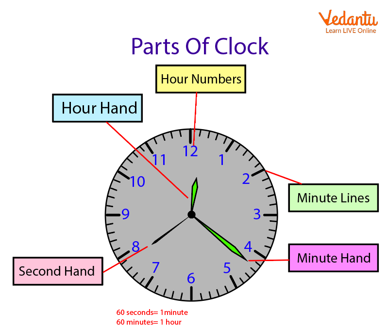 Clock Time Reading  Learn and Solve Questions